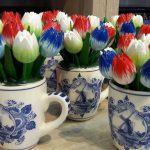 tulipany-Holandia-fot.-Polonia.nl_