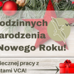 Baner_VCATalen_2017