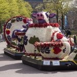 Parada Kwiatów -mobilne platformy urzekają kolorami