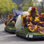 Parada Kwiatów 2017