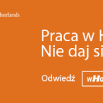 20181106_AMBASADA_HOLANDII_BANNER